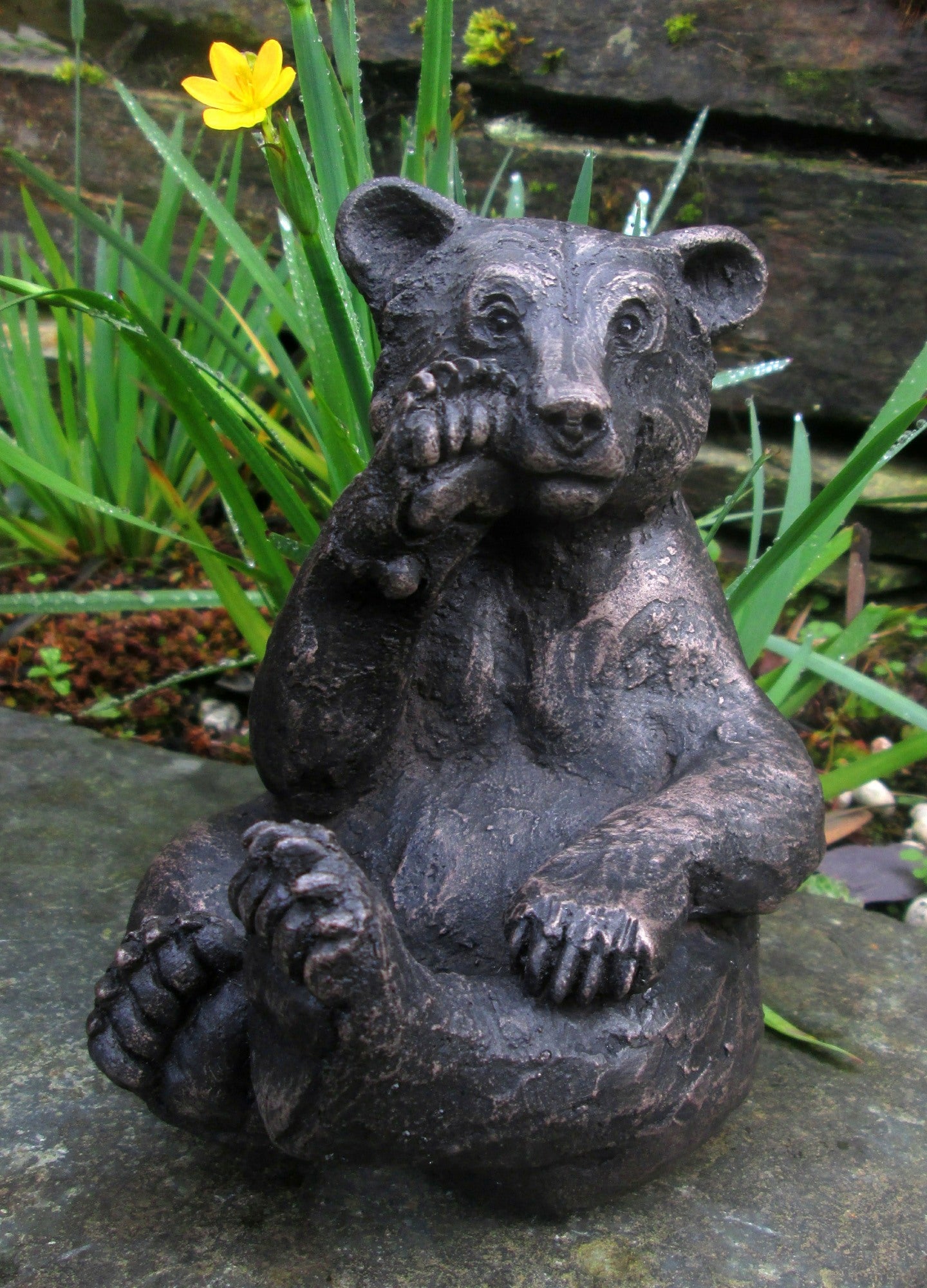 Bertie, Bronze Resin bear sculpture by Suzie Marsh - Proper Living Limited