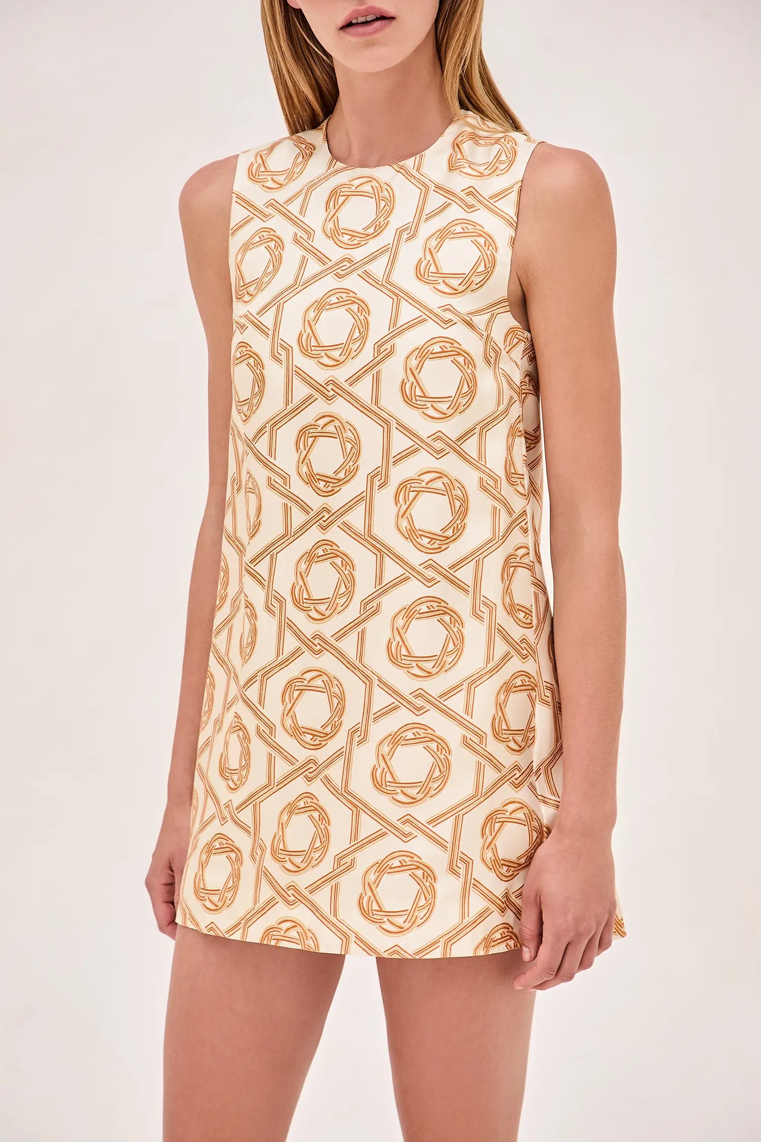 Alexis Anicka Dress In Ivory/orange