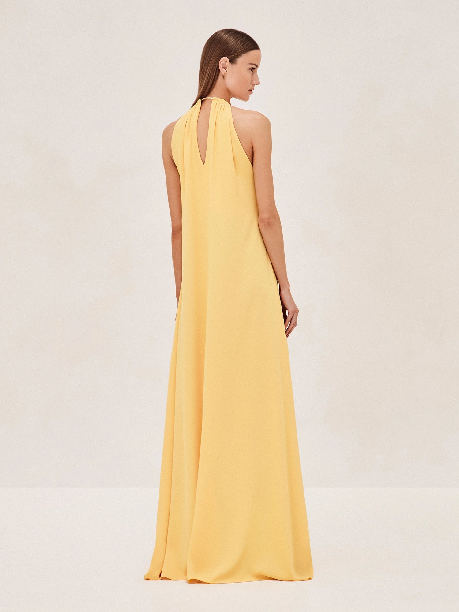 Alexis Celestino Sleeveless Gown In Mimosa