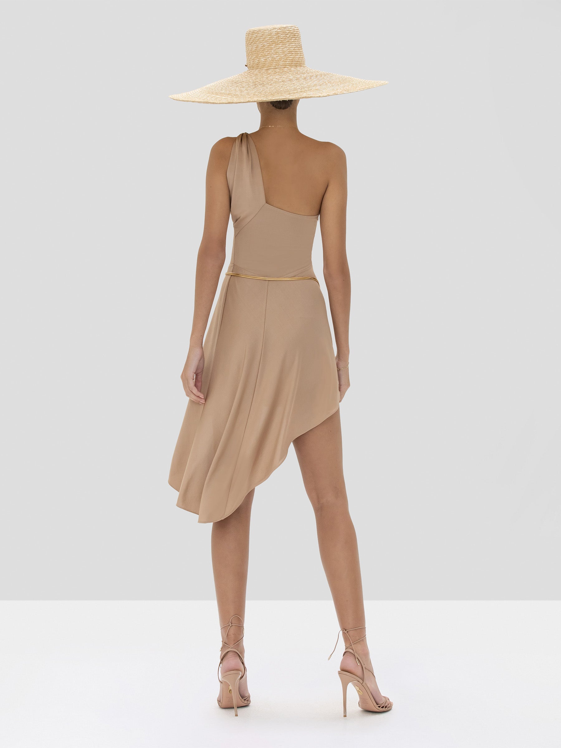 Alexis Mellie Dress in Tan from the Spring Summer 2020 Collection - Rear View