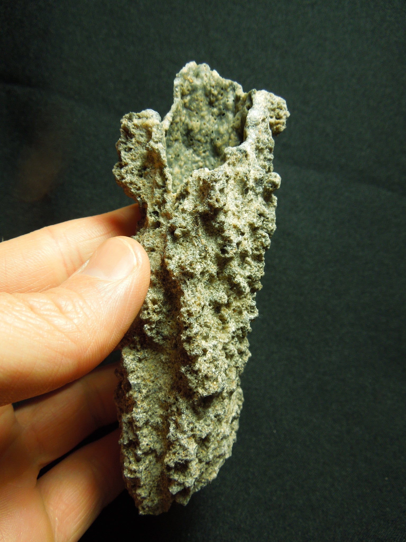 Fulgurite Lightning Striking Sand Summits Steps Minerals 