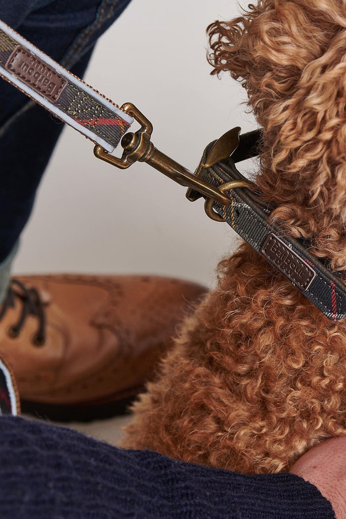 barbour reflective tartan dog collar