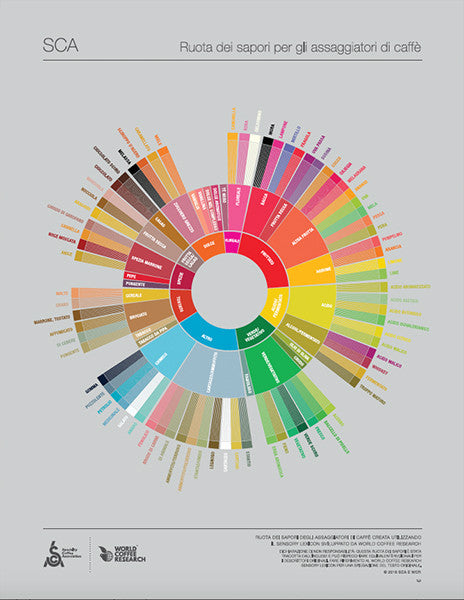 The Coffee Taster's Flavor Wheel - Italian (Digital ...