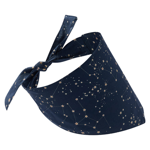 Dog bandana astronomy