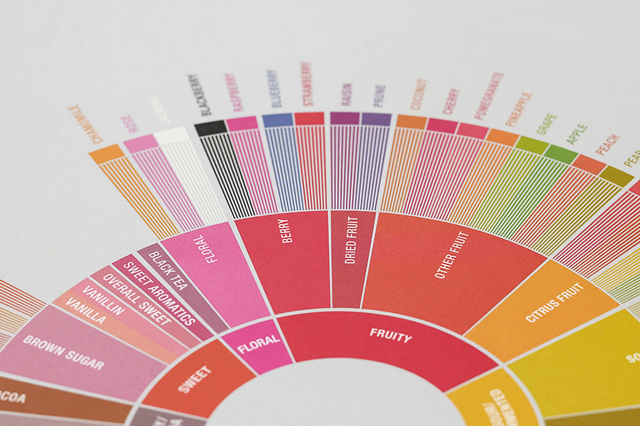 SCA Sensory coffee wheel