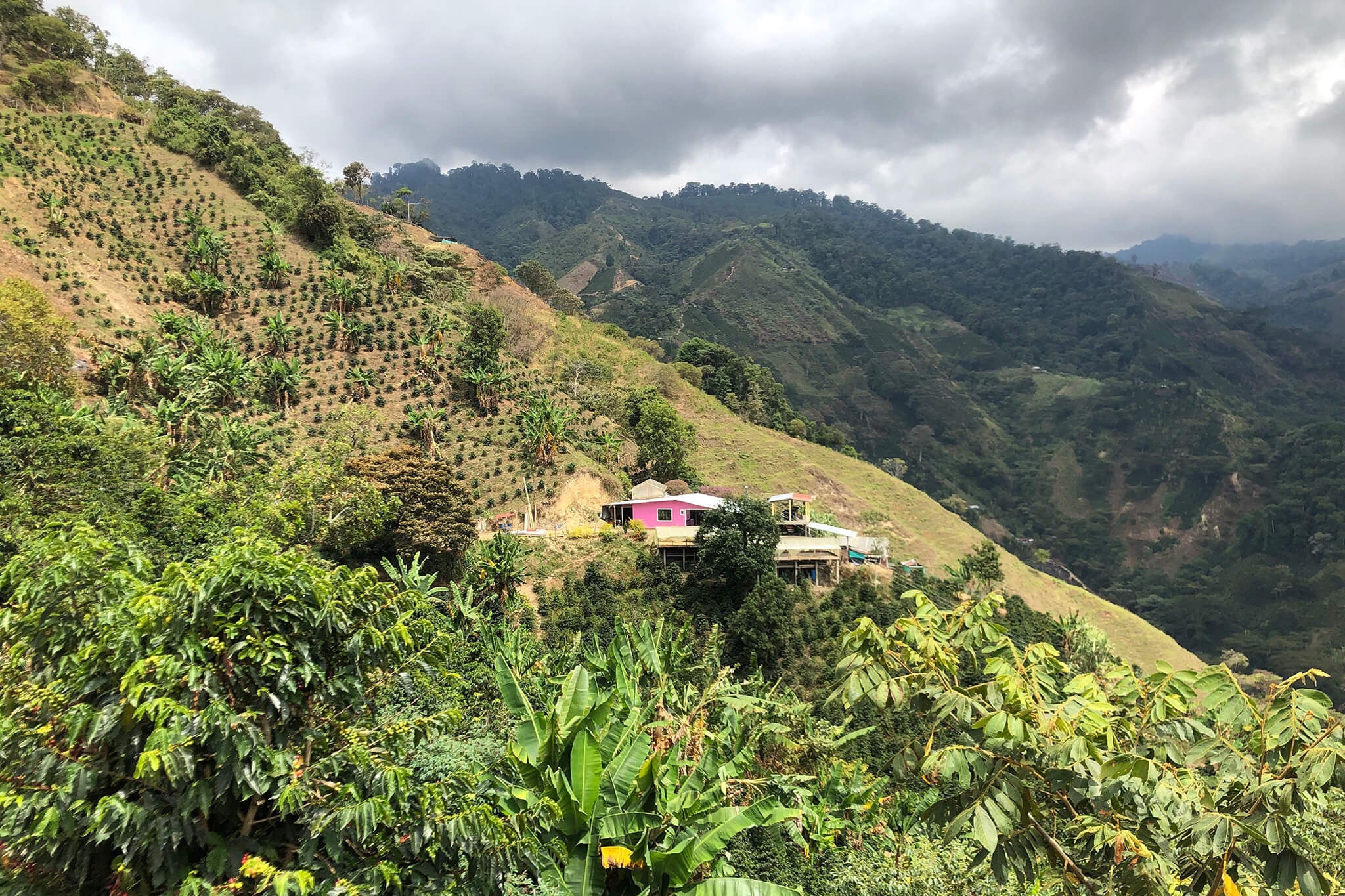Colombia Travel Diary
