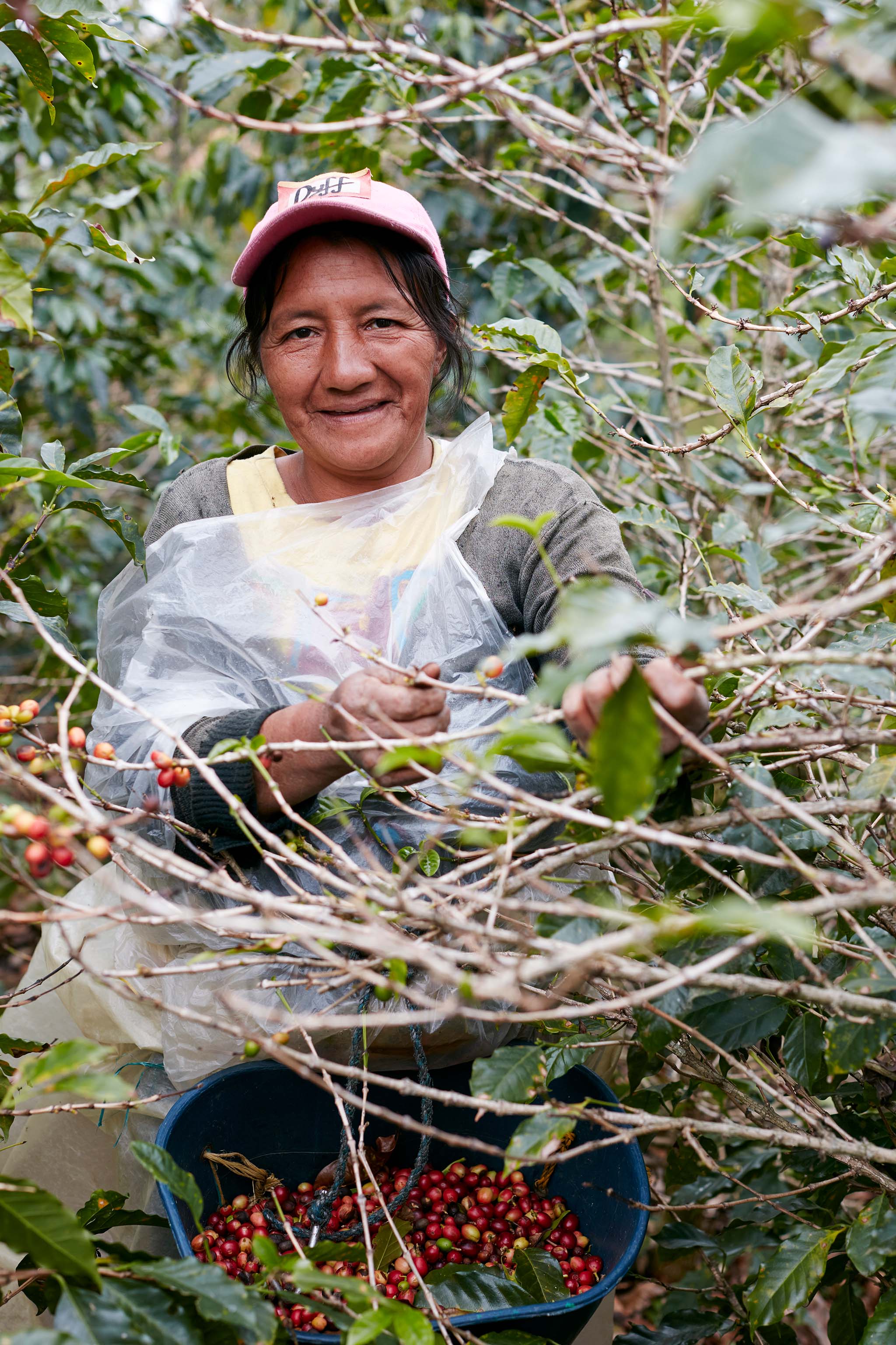 Coffee farmer