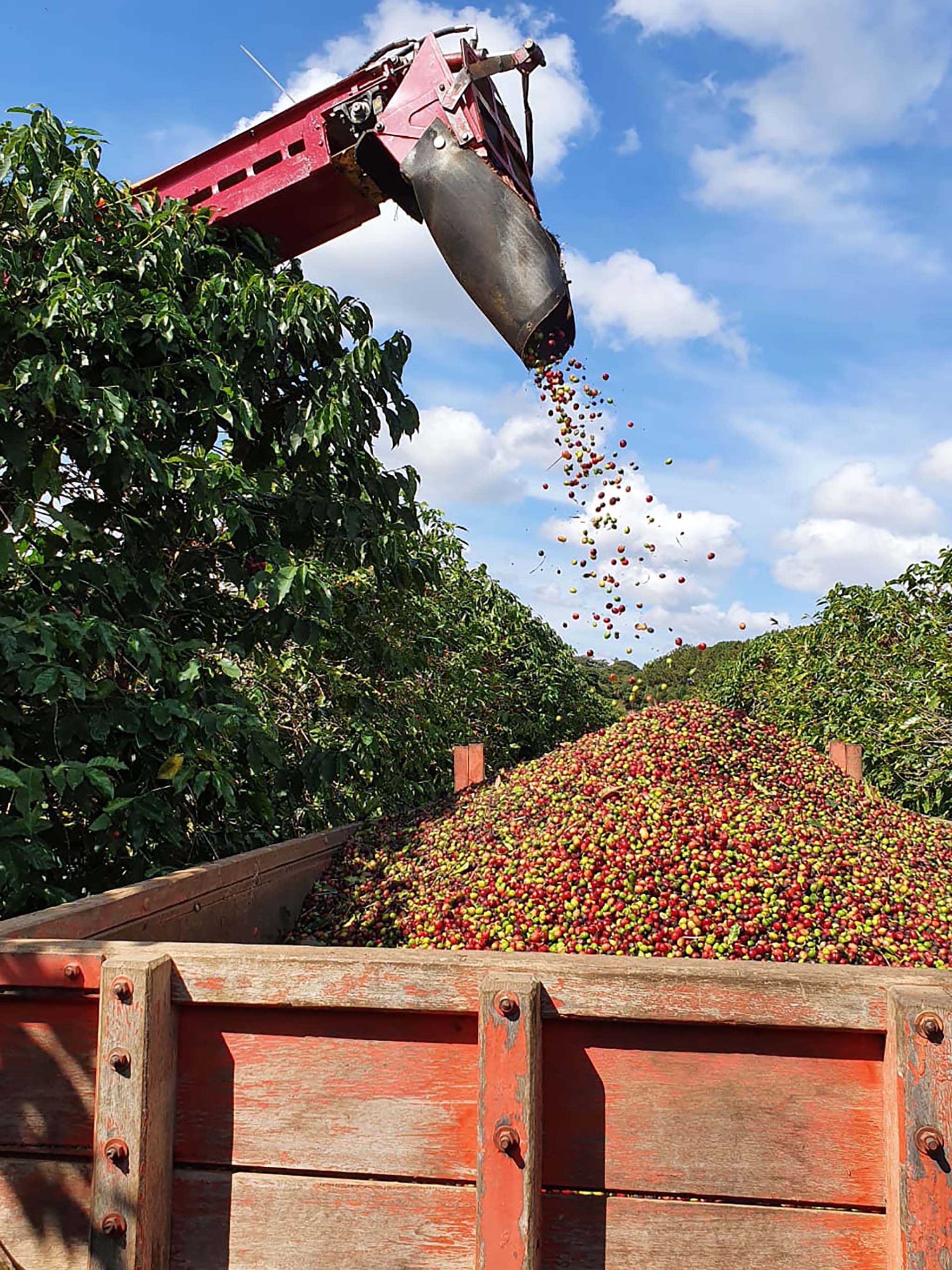 Coffee farm machinery in Brazil