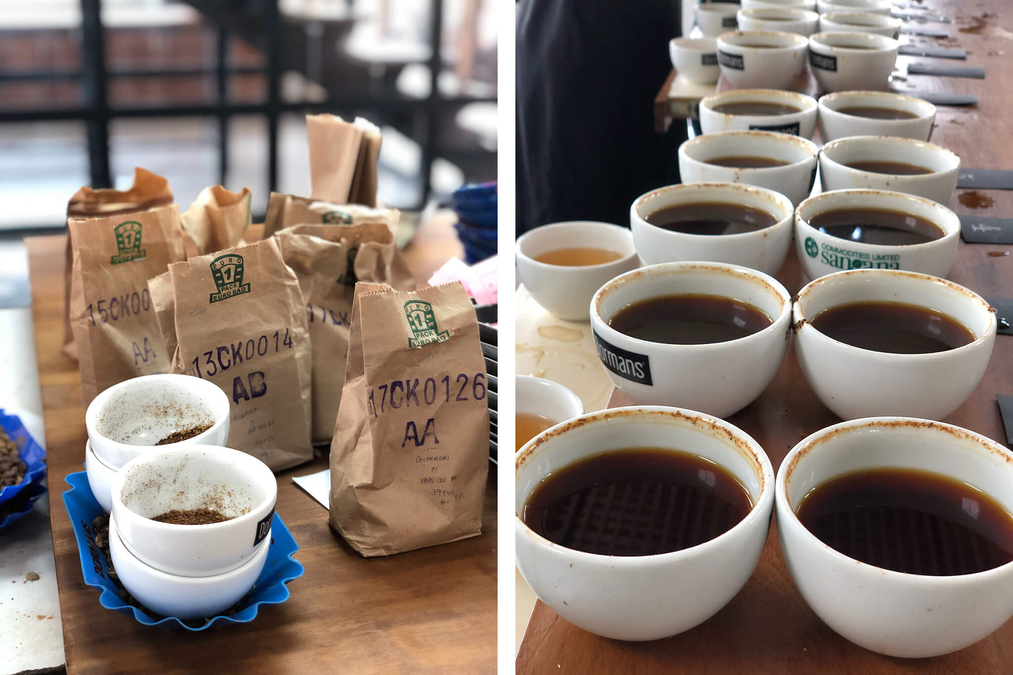 origin-coffee-roasters-kenya-dormans-samples