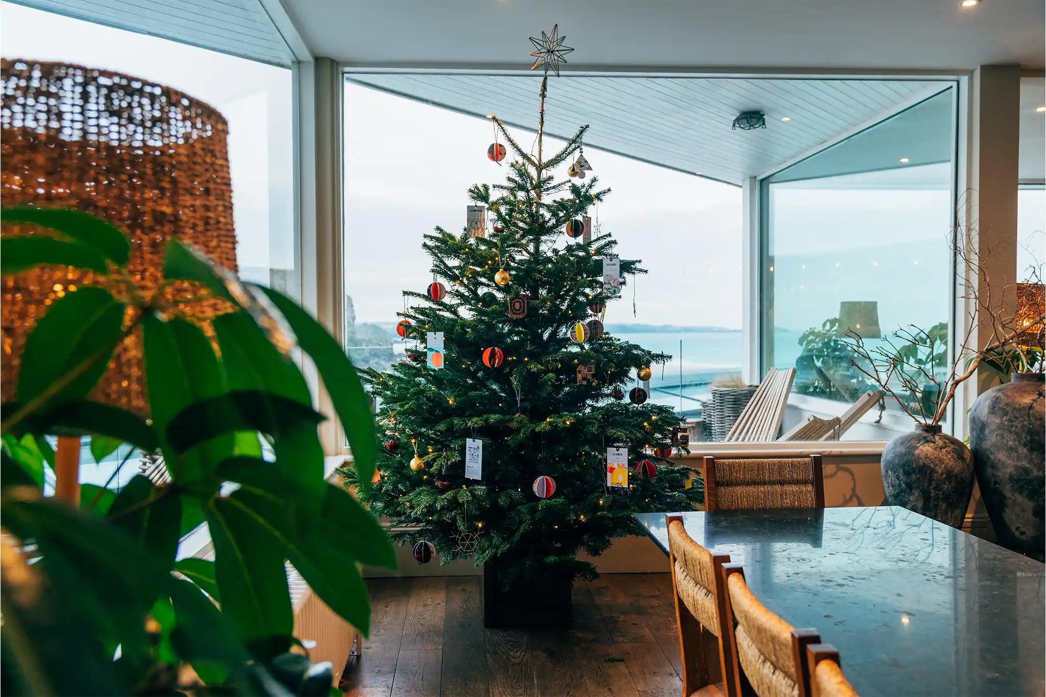 Watergate Bay Tree