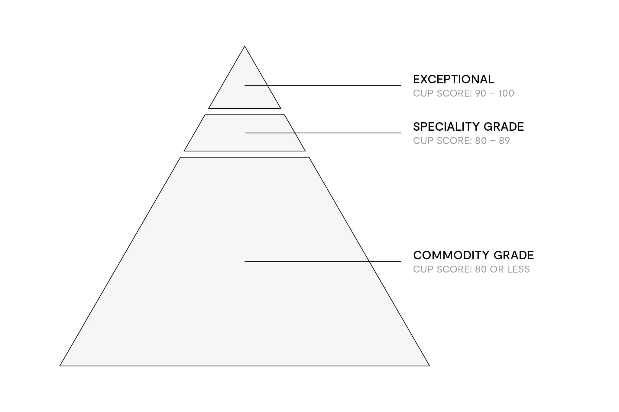 Coffee Grading Graph