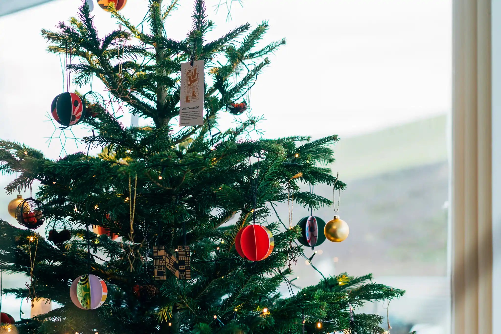 Watergate Bay Sustainable Tree