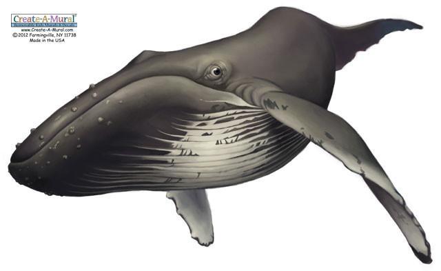 Whale Mural