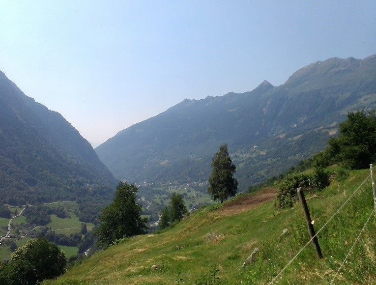 View from the cycle path across the valley, looking towards Ludiano 
