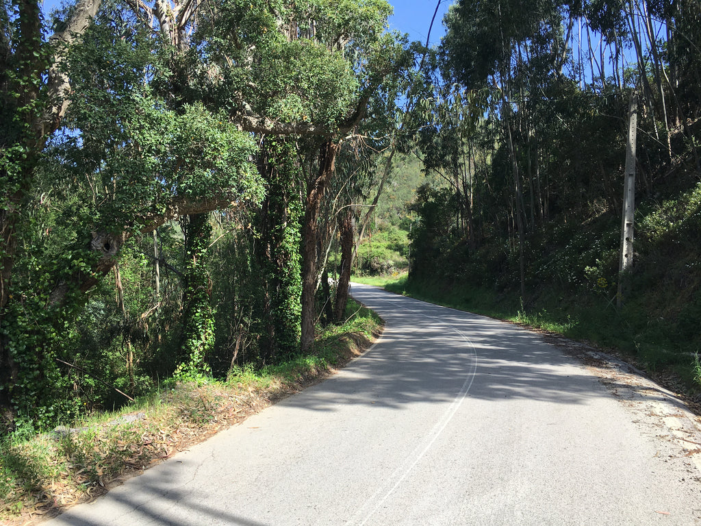 Green lanes in the Algarve