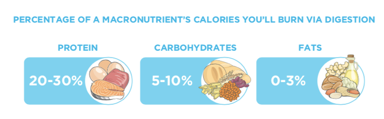 Why calorie counting for fat loss might be holding you back from your goals