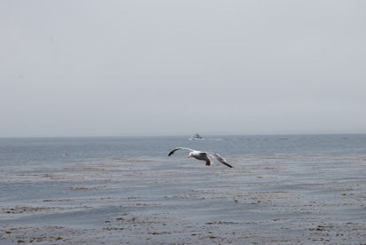 dsc_0322.jpg