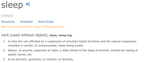 Sleep Definition