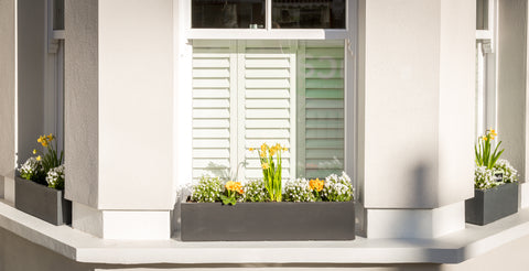 Bay and Box window box