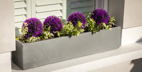 Bay and Box large window box