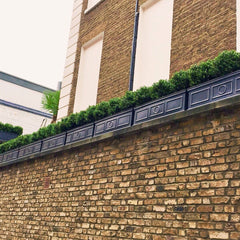 Roof terrace with Bay and Box Buxus Balls and window boxes