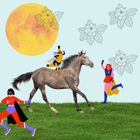 horse-o-scope, equestrian horoscope, horses, horseback riding, unicorns, magic