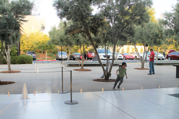 apple-park-parking-visit-1 Apple Park Way-cupertino-california