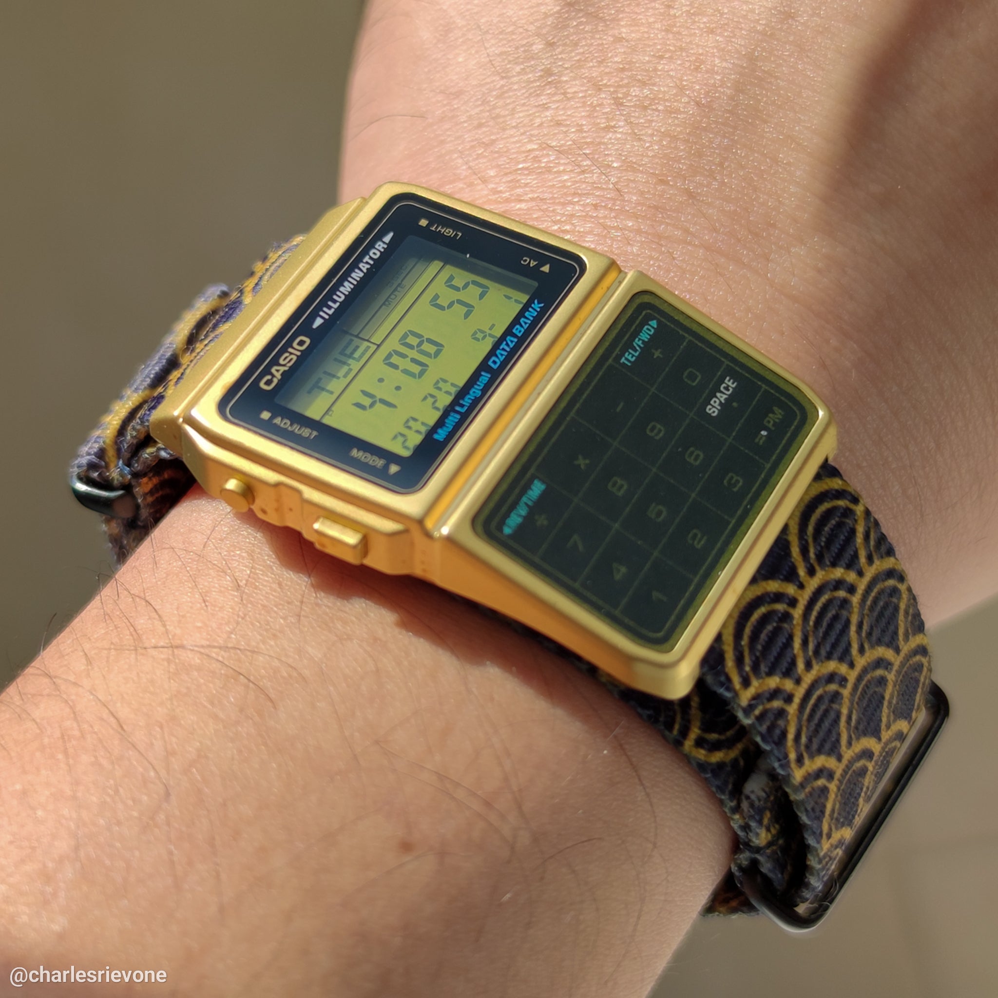 vario graphic strap on casio databank watch