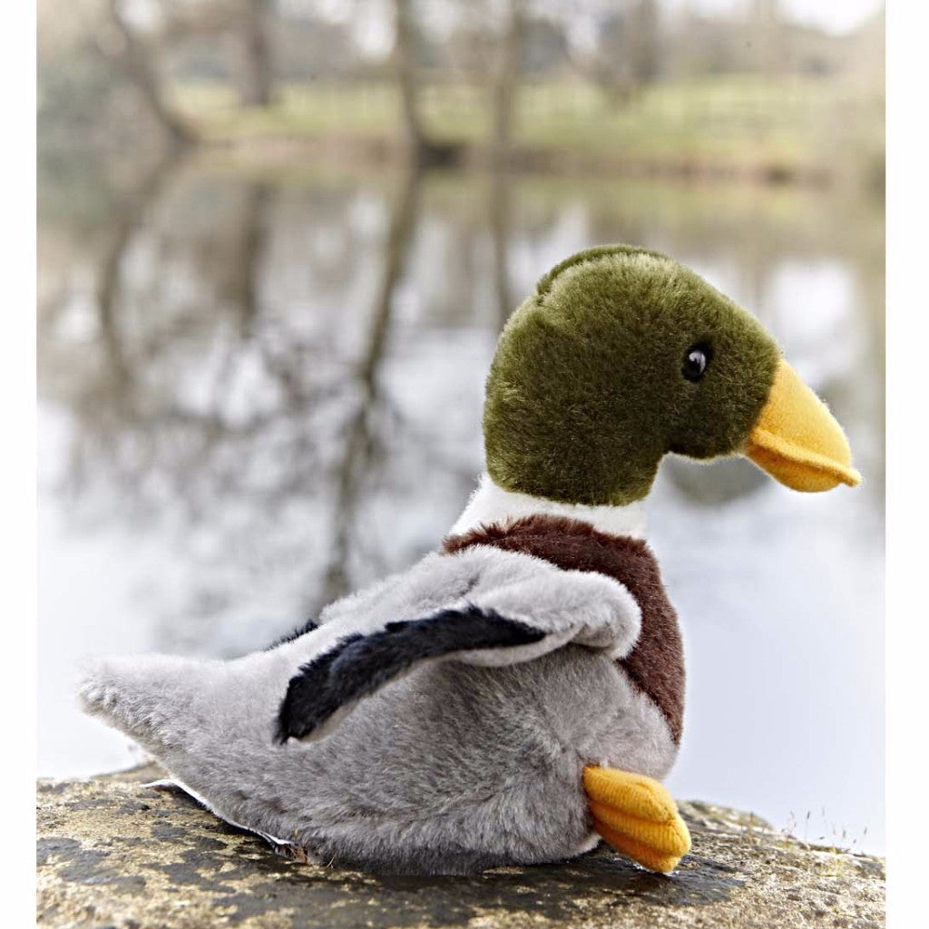 mallard duck teddy