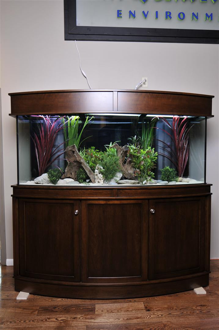 Custom Aquarium Stands Fish Gallery