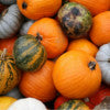 Benefits of eating pumpkin