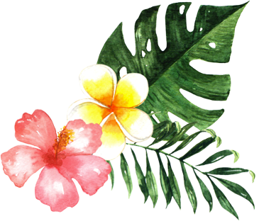 Tropical Flowers