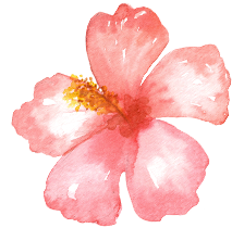 a pink flower