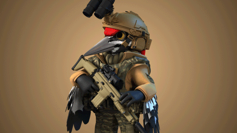 Combat Helmet Setup Visual Guide For Military Combat Helmet Setup Visual Guide For Military