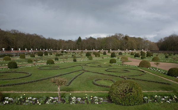 Chenonceau garden