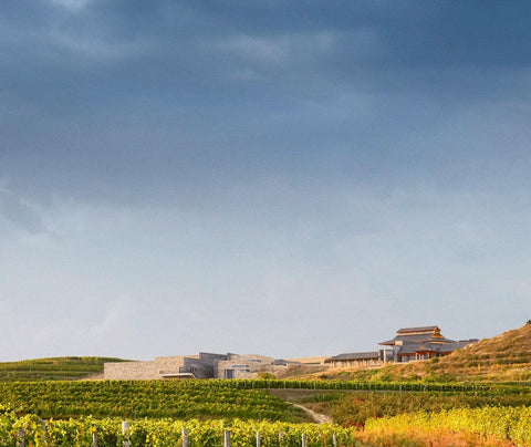 Château Lafite’s Domaine de Long Dai in Penglai China 