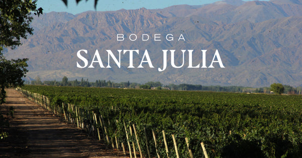 About Bodega Santa Julia
