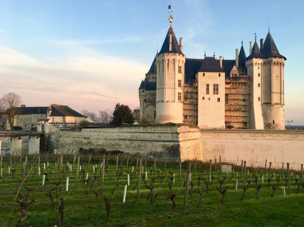 The Difference in Wine Style From France