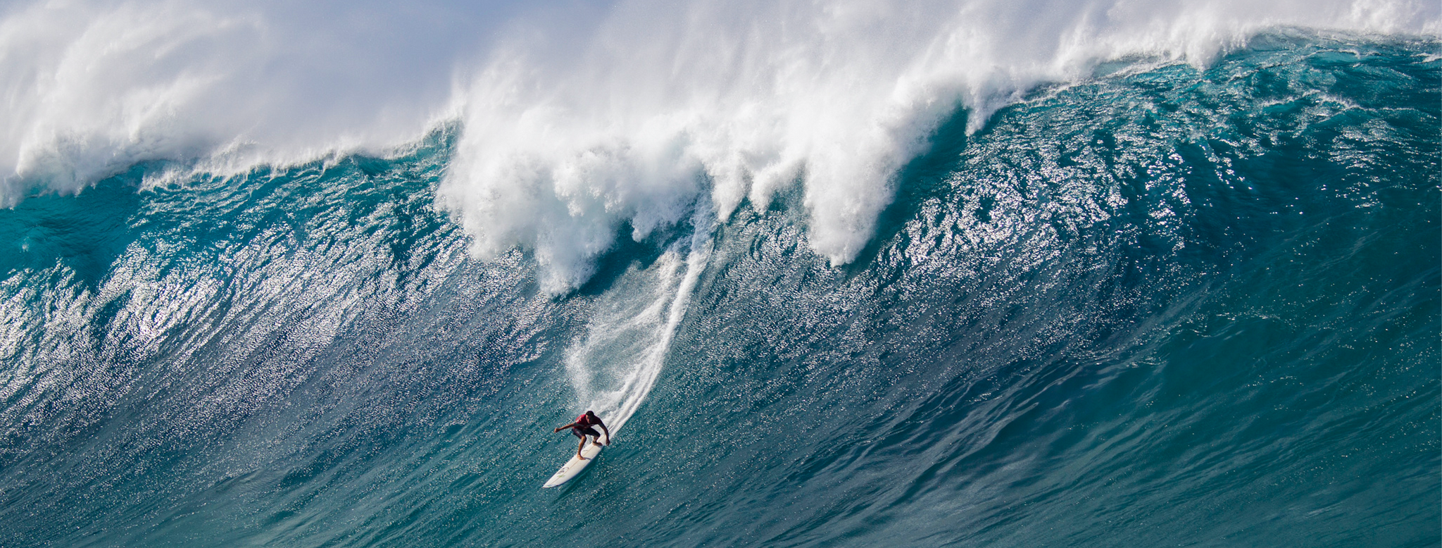 Tom Servais Photo King of the Beach