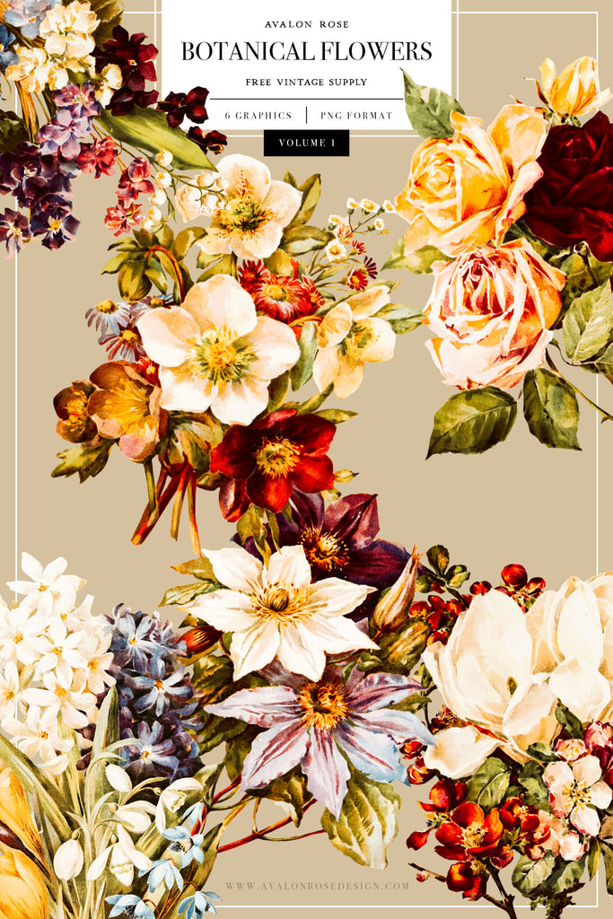 Free Vintage Botanical Flower Graphics