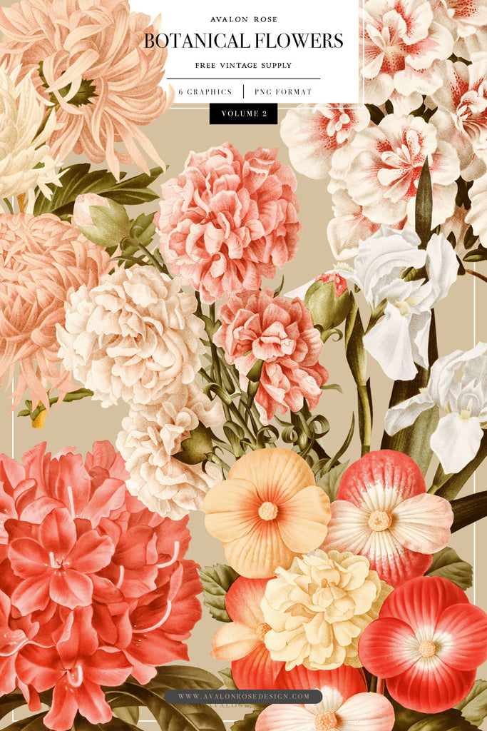 Free Botanical Flower Graphics