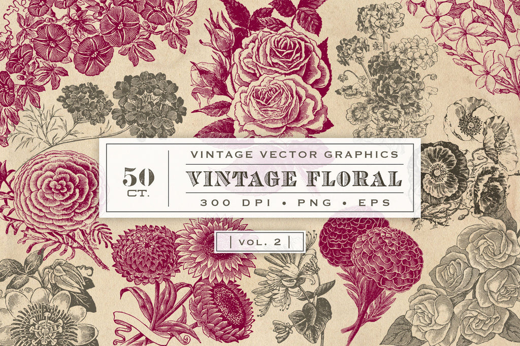 Download Vintage Flower Vector Graphics Vol. 2 - Avalon Rose Design
