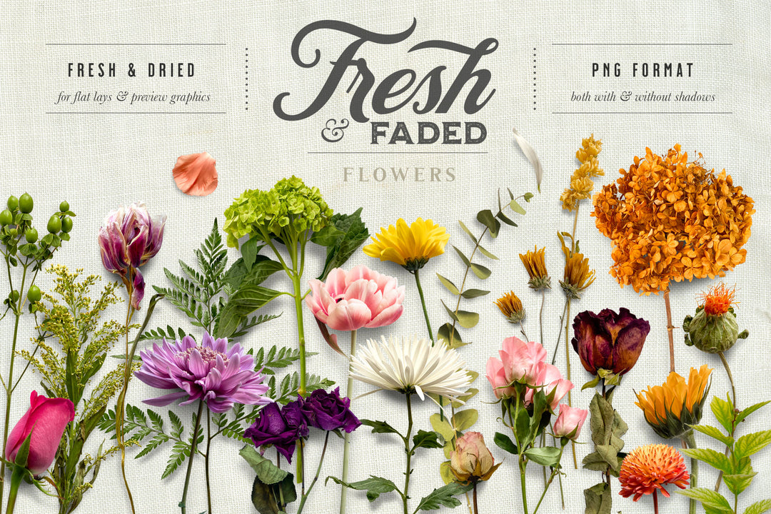 Free Beautiful Autumn Moodboard With Cotton Flower Psd – DreamBundles