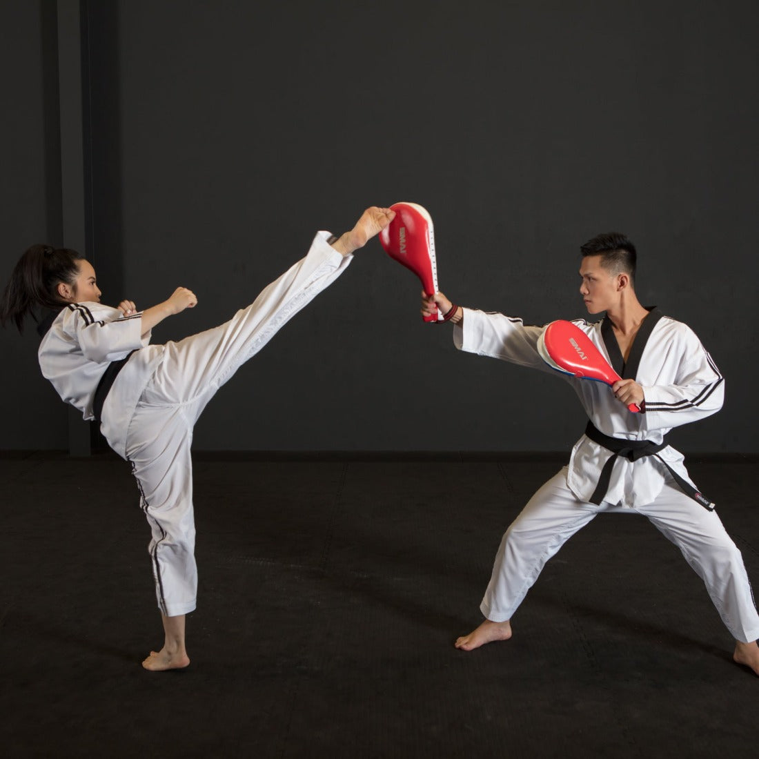 Taekwondo Clapper Target