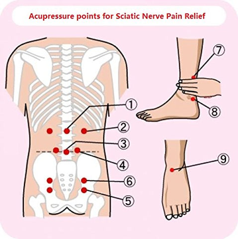 What is Sciatica? What Causes it and how do I know if have Sciatica Pa -  Armstrong Amerika