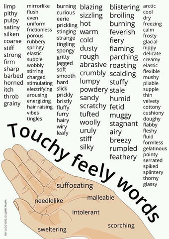 Touchy Feely Words - Singapore Books