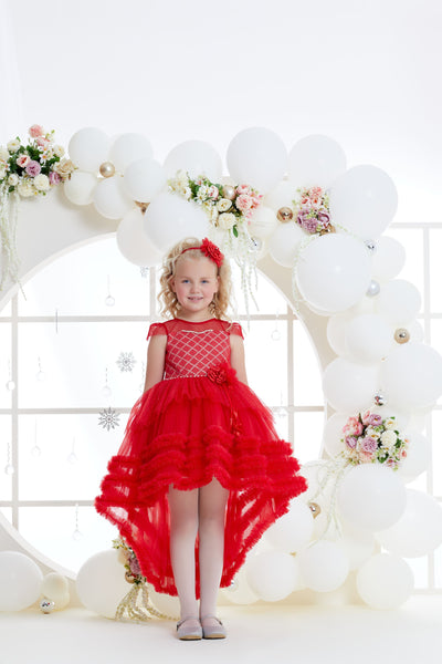 3228 Girls Red Tulle Special Occasion Dress with Bows – Mia Bambina Boutique