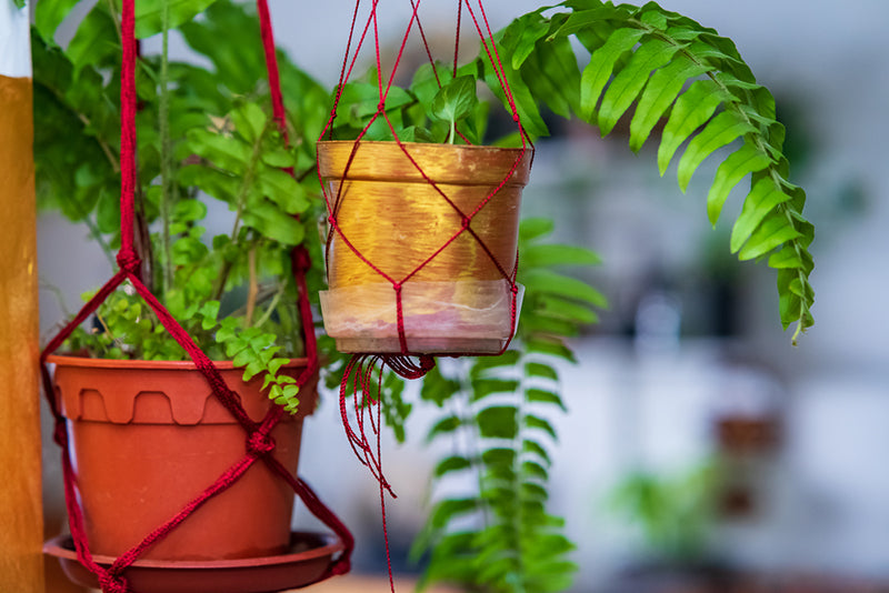 macrame hanger