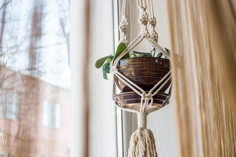 macrame knots making up a plant hanger