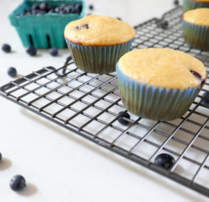 muffin-close-up